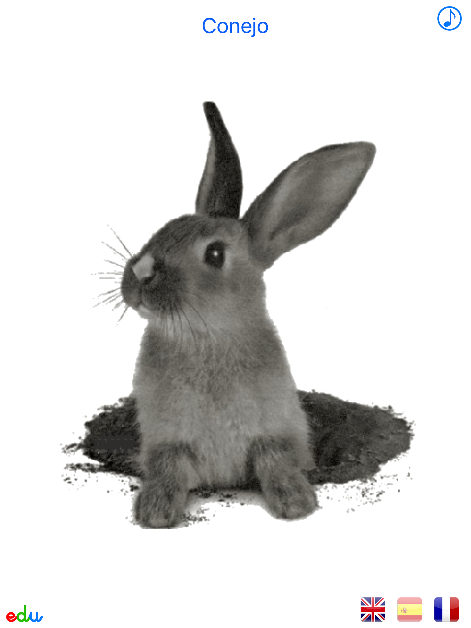 Animals Animated Multilingual - Free screenshot 10