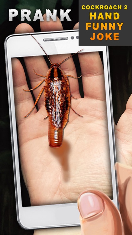 Cockroach 2 Hand Funny Joke