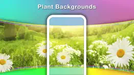 fexypano - panorama wallpapers iphone resimleri 4