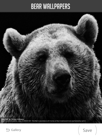 Screenshot #5 pour Bear Wallpaper