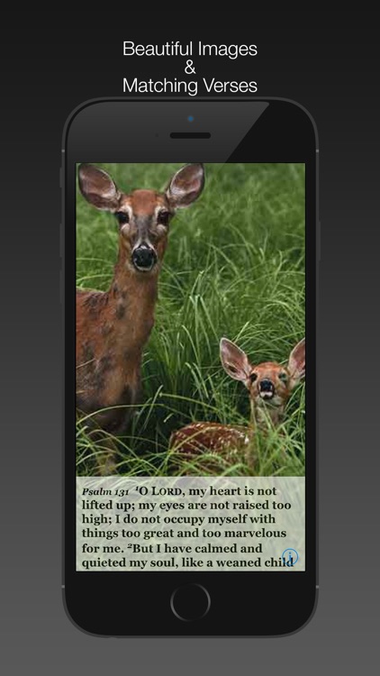 Psalm Daily Quotes ESV