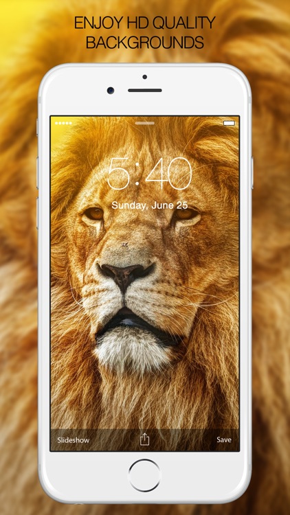 HD Wallpapers & HD Backgrounds