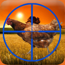 Activities of Chicken Hunter 2