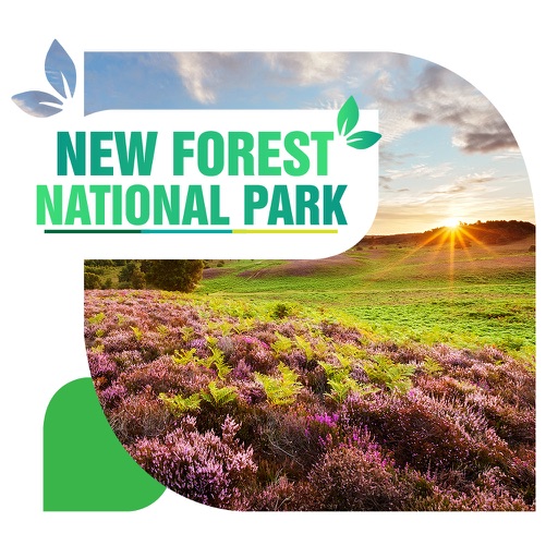 New Forest National Park Travel Guide icon
