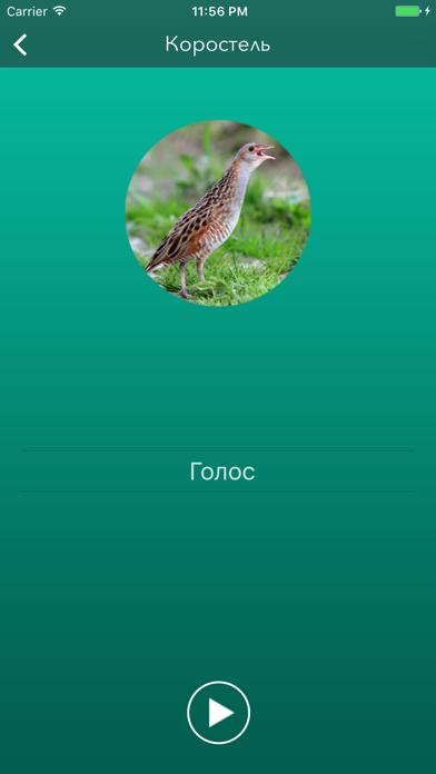 Охотничий манок на боровую и луговую птицу screenshot 3