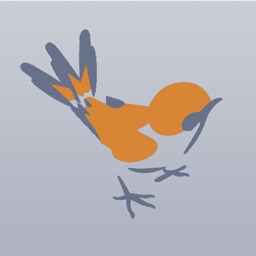 Bird Quick List United Kingdom