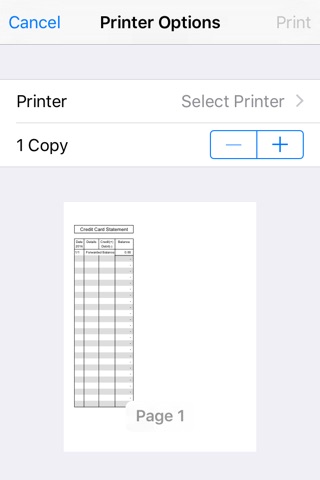 Credit Card Ledger screenshot 3