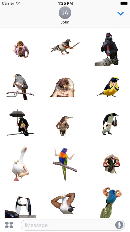 Birds with Arms Stickers