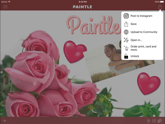 Paintle iPad screenshot 4 - Photo & Video app