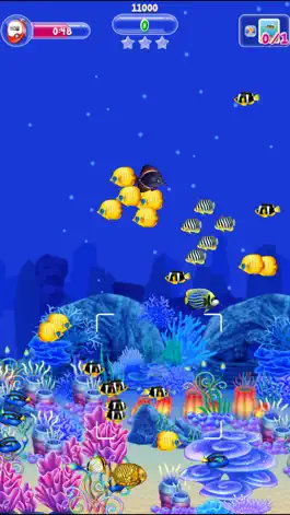 Game screenshot Fishy Ola - Fish Paparazzi mod apk