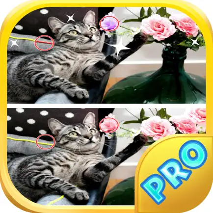 Cats Spot The Difference 10 Cheats