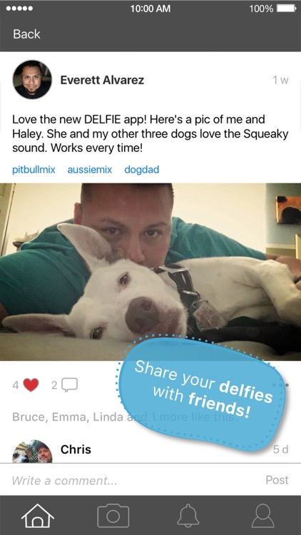 DELFIE Dog Selfie Photo Sounds Get Dogs Attention!