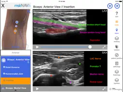 mskNAV screenshot 2