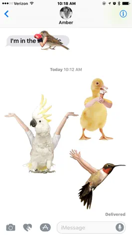 Game screenshot Birds with Human Arms apk