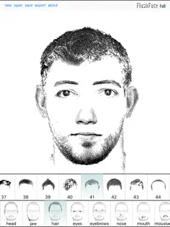 FlashFace Full iPad image 2