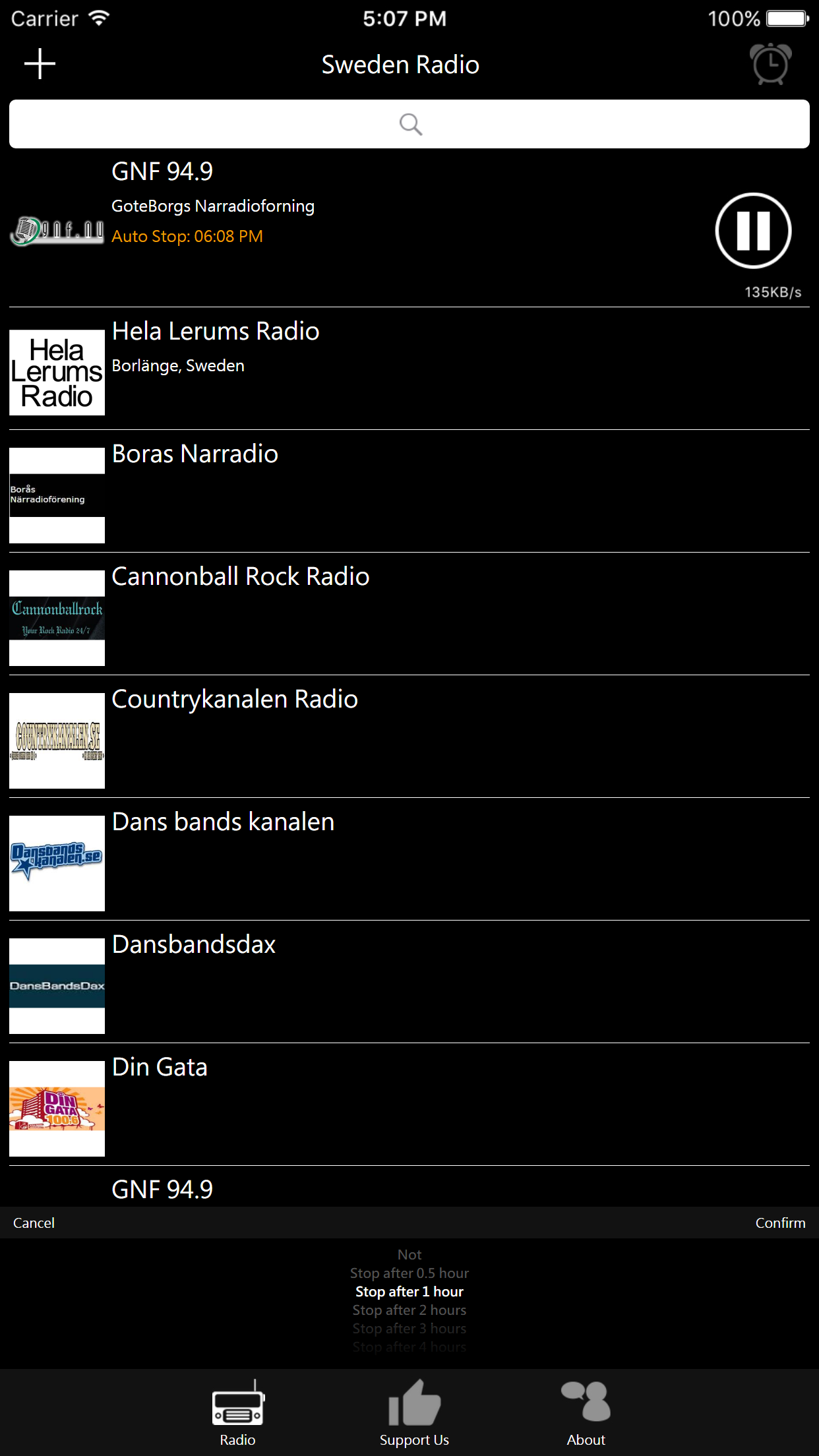 Swedish Radio screenshot 3