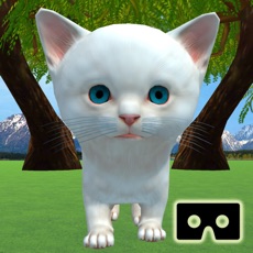 Activities of VR Kitten