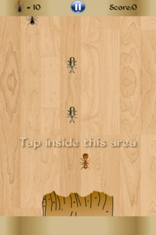 Bug Insect Smasher screenshot 4