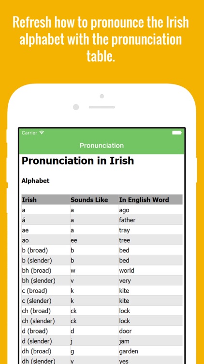 Irish Flashcards with Pictures Lite