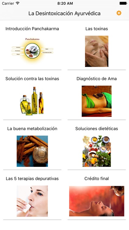 La Desintoxicación Ayurvédica