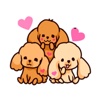 Poodle Love - Cute Dogs!