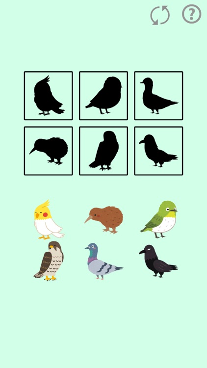 Puzzle Bird for Kids