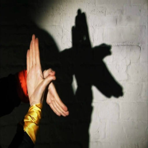 Hands Shadow Puppet icon