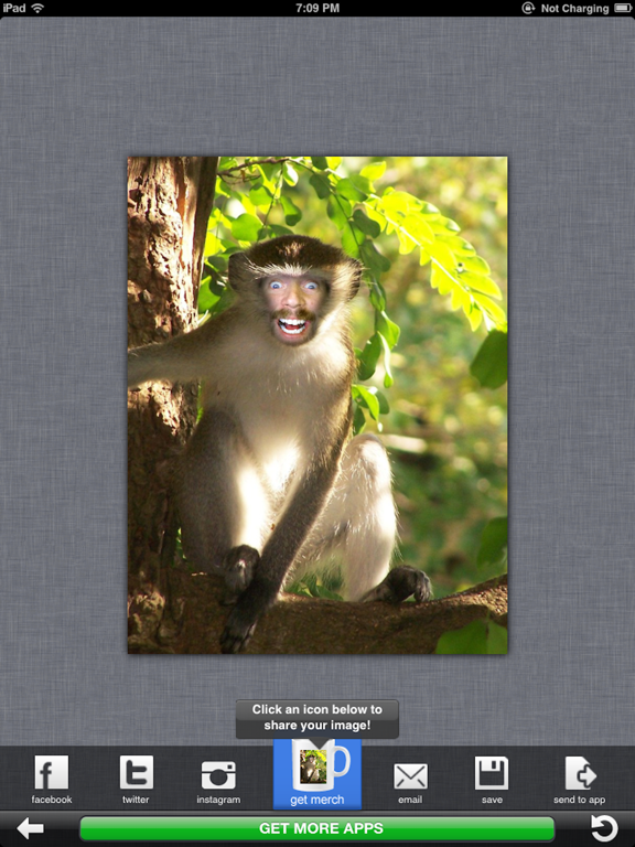 Zoo Me! iPad screenshot 2 - Photo & Video app