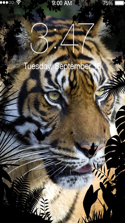 Top Wallpapers 4K UHD Themes