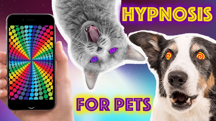 Hypnosis for dogs and cats optical illusions prank