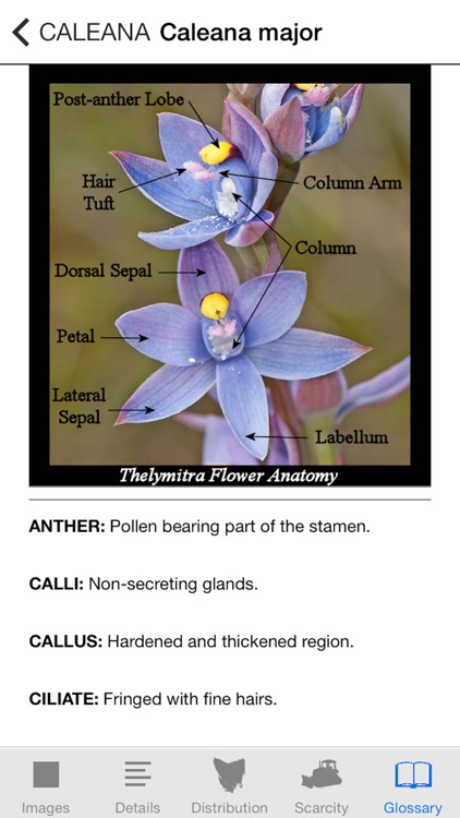 Orchids of Tasmania screenshot-4