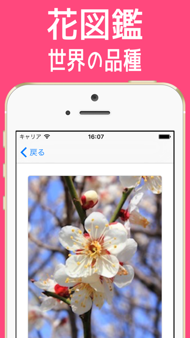 はな図鑑 世界の品種 =花 143種類=のおすすめ画像1