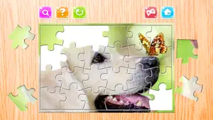 Animals Puzzle for Adults Jigsaw Puzzles Game Free screenshot #1 for iPhone