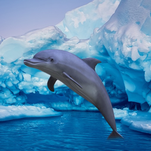 Antarctic Dolphin Escape Icon