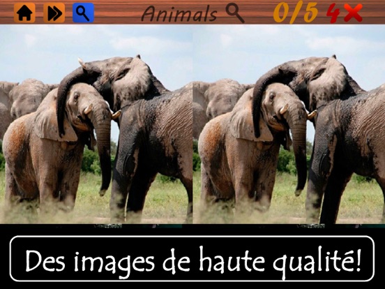 Screenshot #4 pour Trouvez les différences Animaux