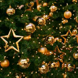 New Year - party,wallpapers,fun,fireworks,show,eve app icon