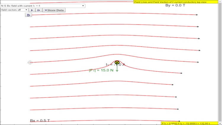 Magnetic Field of Wires Sims