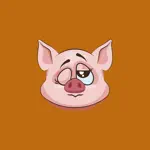 Pig - Stickers for iMessage App Contact