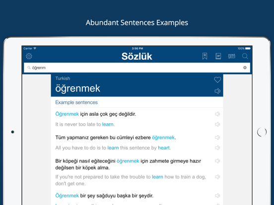 Turkish English Dictionary Pro iPad screenshot 4 - Education app