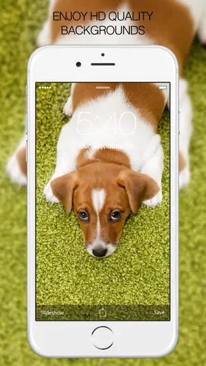 Puppy Wallpapers - Cute Puppy Pictures & Images screenshot 2