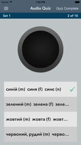 Game screenshot Ukrainian Essentials apk