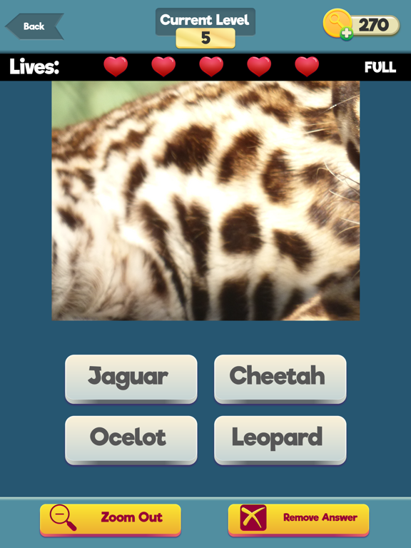 Screenshot #5 pour Zoom Trivia - Animals Edition