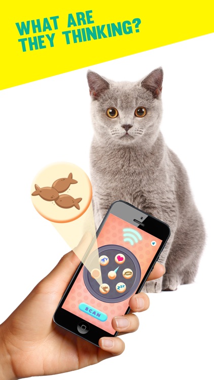 Pet Scanner - Know Their Mood Without Talking