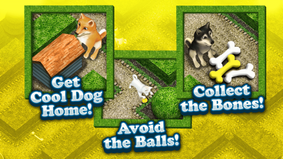 Screenshot #3 pour Cool Dog -Mon Chiot Mignon Labyrinthe Enfants Free