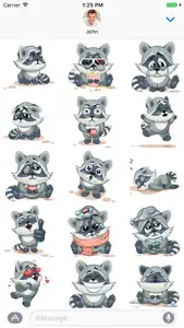 Raccoon - Stickers for iMessage screenshot #1 for iPhone