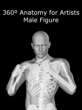 Game screenshot 360 Anatomy for Artists HD: Male Figure mod apk
