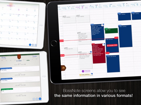 BossNote iPad screenshot 4 - Productivity app