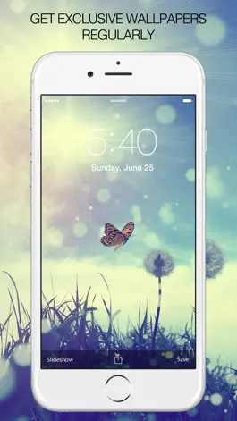 Game screenshot Butterfly Pictures & Butterfly Wallpapers Free hack