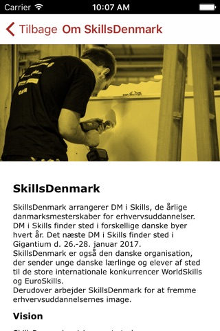 DM i Skills screenshot 2