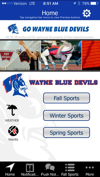 Wayne Blue Devils